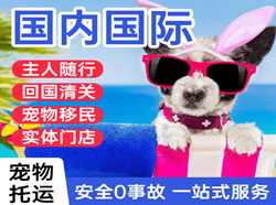 金湾航空物流国际宠物托运 【国